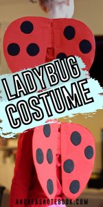 Super Easy DIY Ladybug Wings