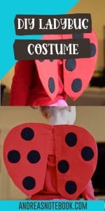 Super Easy DIY Ladybug Wings
