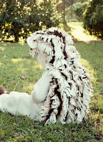 Adorable DIY baby hedgehog costume on a baby sitting in the grass with sun shining through the trees.