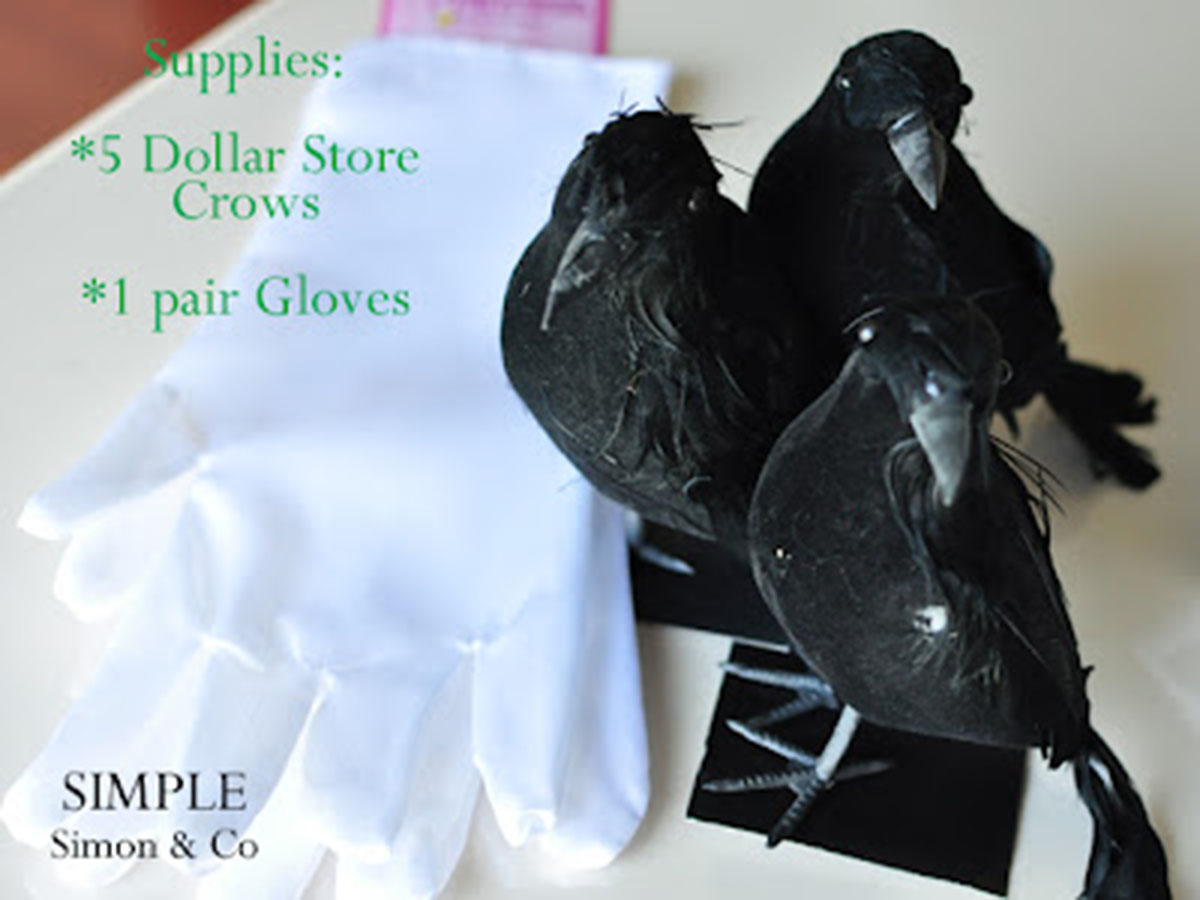 The Birds costume supplies: white gloves and fake black birds.