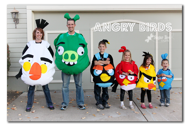 Angry Birds family costumes