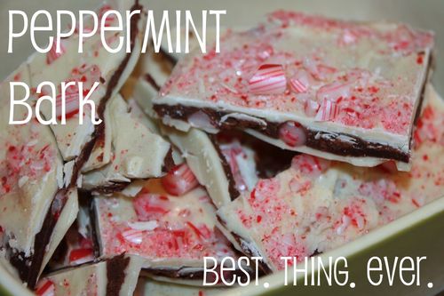 the best peppermint bark recipe
