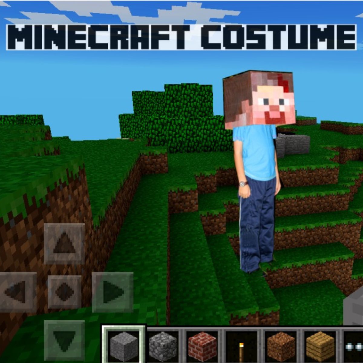 10 DIY Minecraft Costume Tutorial and Ideas