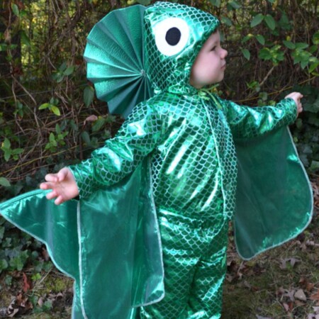 Child in a homemade fish costume.