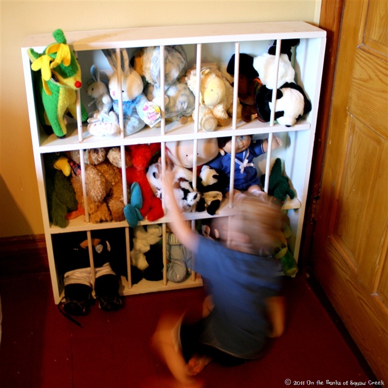 Build a toy zoo and dozens of other great toy storage solutions!