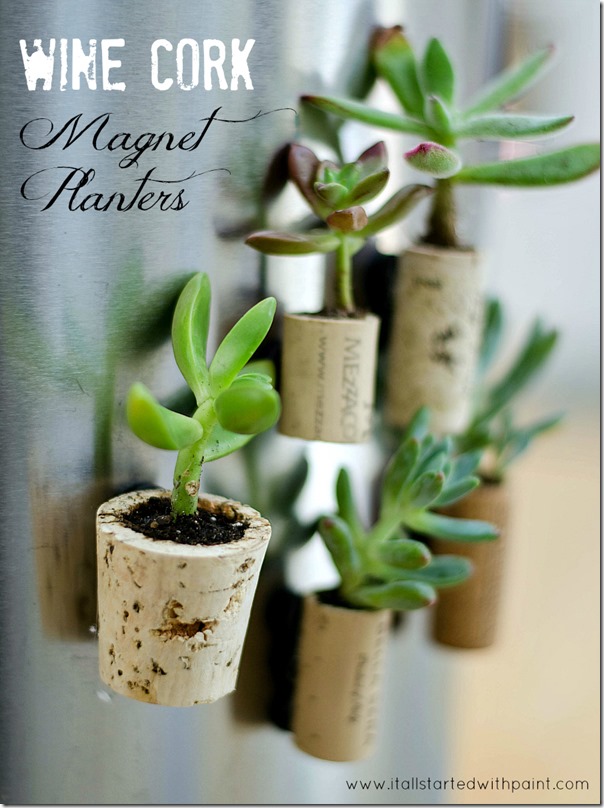 Wine cork succulent magnets! CUTE!