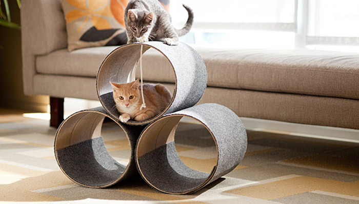 DIY cat house!