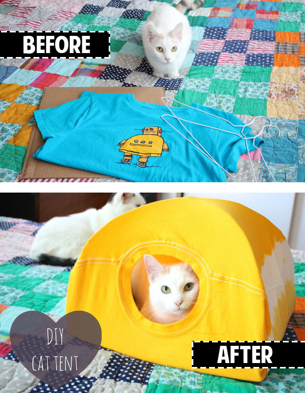 So easy!! Make a cat tent out of a t-shirt and hanger!!