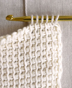 Learn how to tunisian crochet!