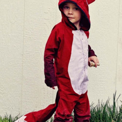 Boy wearing fox costume.