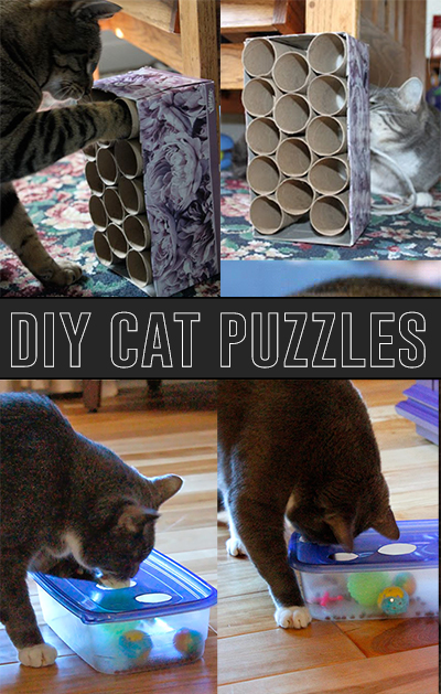 DIY Cat Puzzle Toy Box • hauspanther