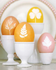 Beautiful nature relief eggs