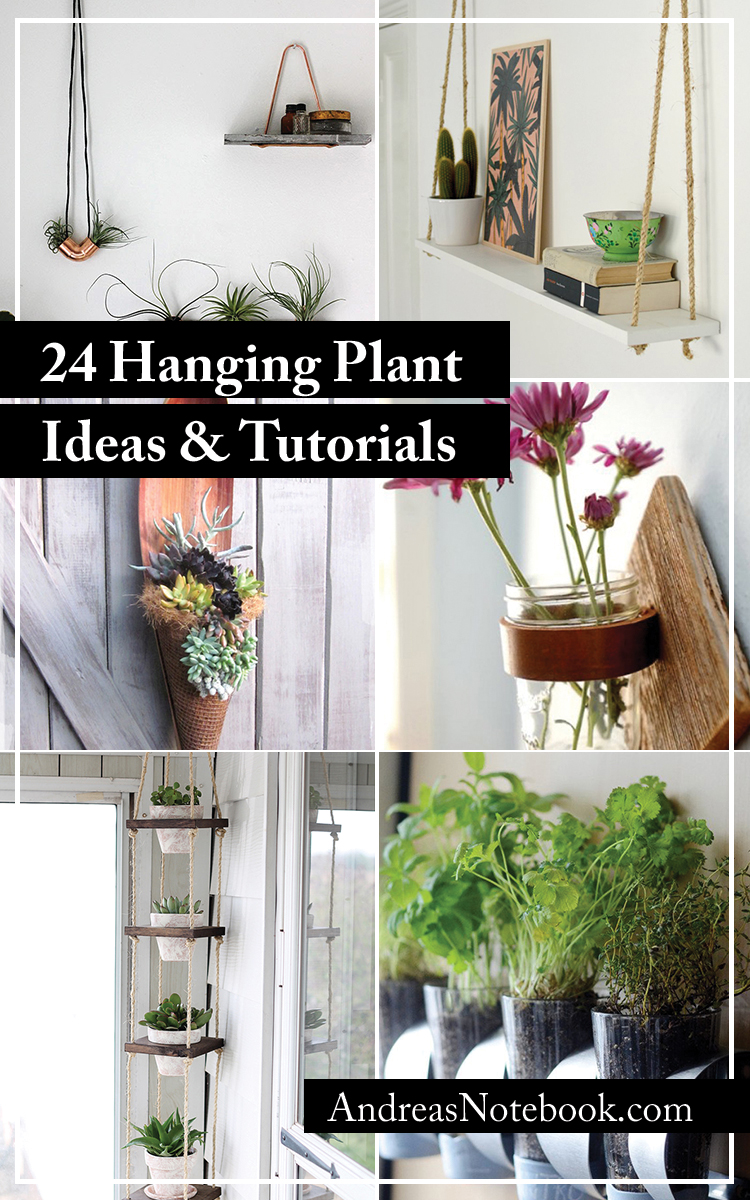 24 Ways to Hang Plants on the Wall - Andrea's Notebook