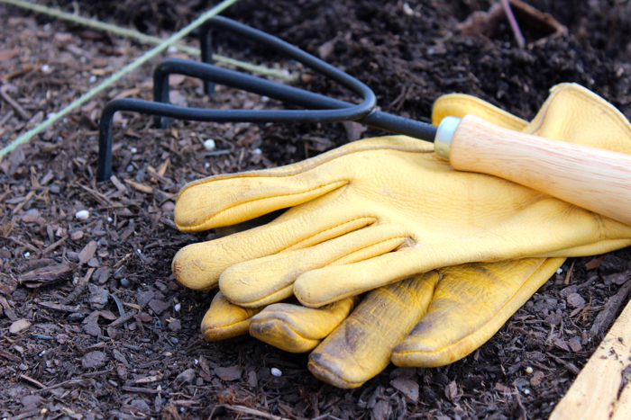 Tools to plant a garden
