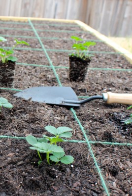 How to build a square foot garden