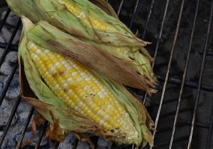 Roast corn in the cob in the husk over a campfire
