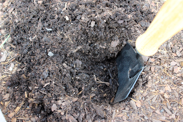 Tools for planting a garden