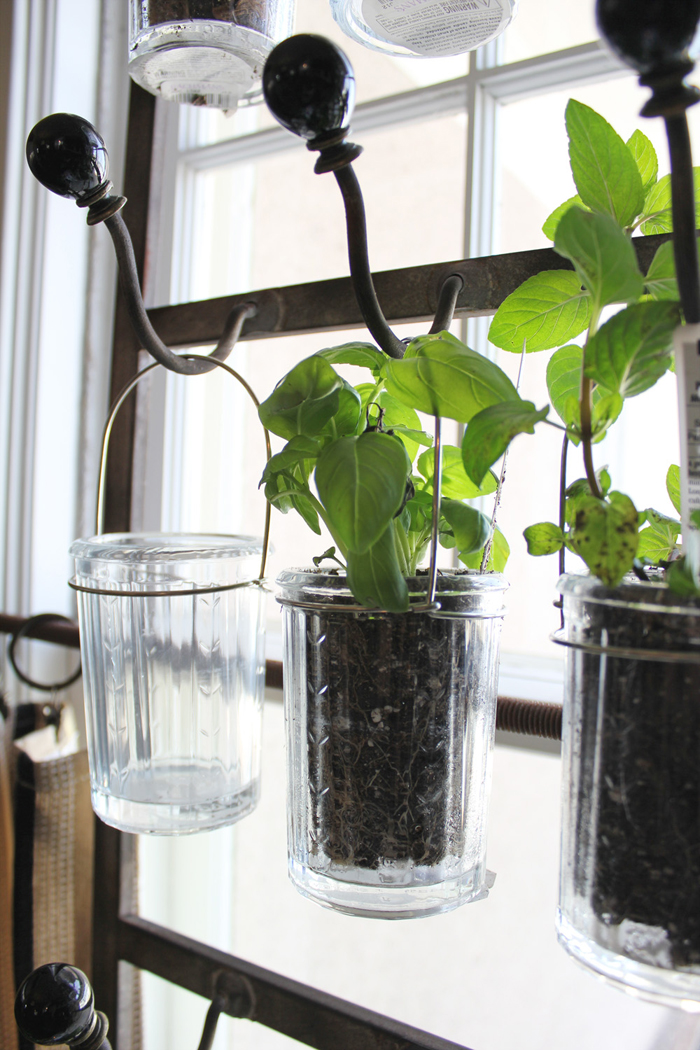 inspiring traditional coat hooks hang a herb garden