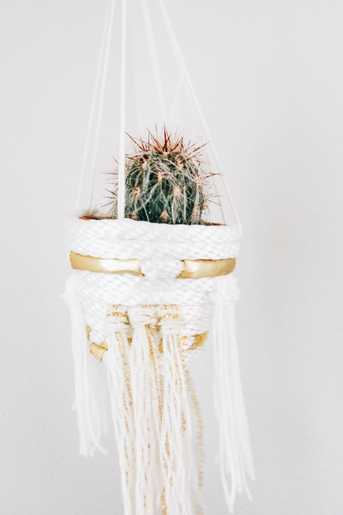 how to make a cactus planter with rope and ribbon