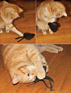 DIY catnip cat toy