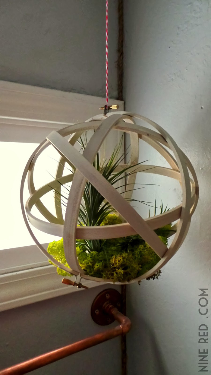 repurposed embroidery hoops make a home for air plants!