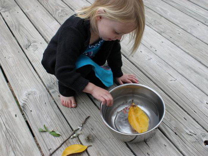 Nature and Water Science