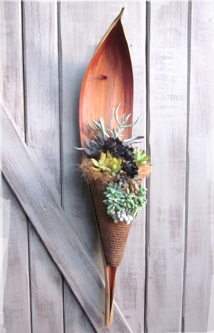 how to make a wall hanging with succulents and a palm tree scoop!