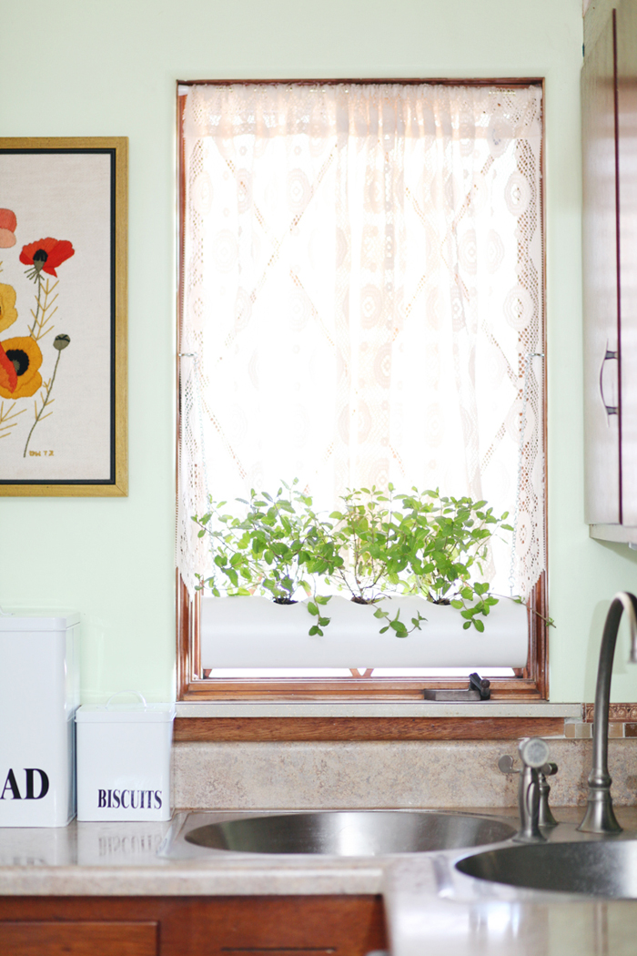 PVC pipe windowsill herb garden