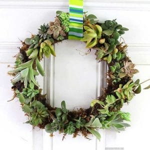 diy green succulent wreath hanging on white door