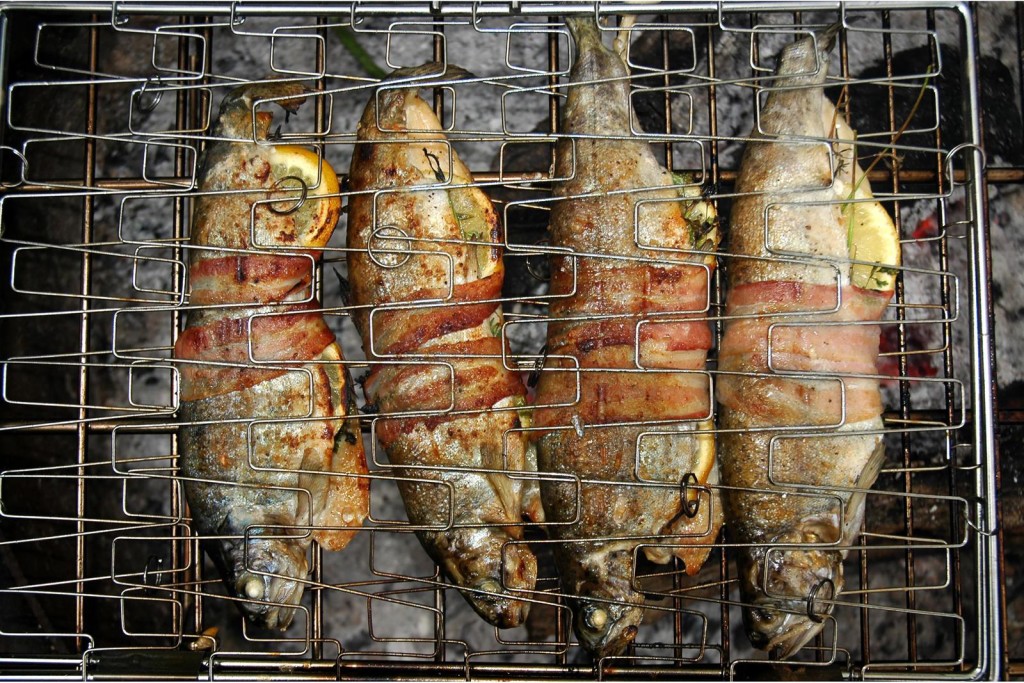 Fire grilled bacon-wrapped trout