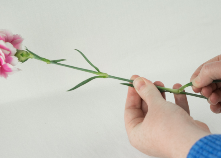 How to make a DIY Floral Arrangement - Great Mother's Day or Teacher Gift!