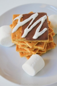 Deconstructed S'more Recipe