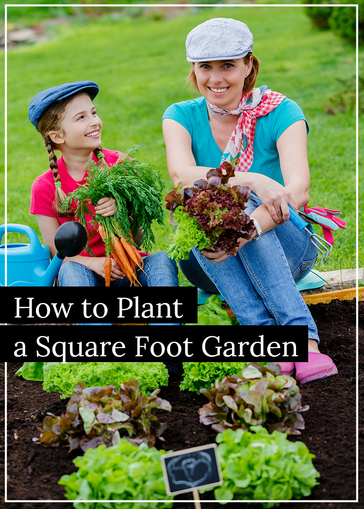 How to plant a square foot garden