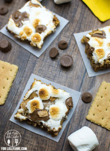 S'mores Peanut Butter Cookie Bars