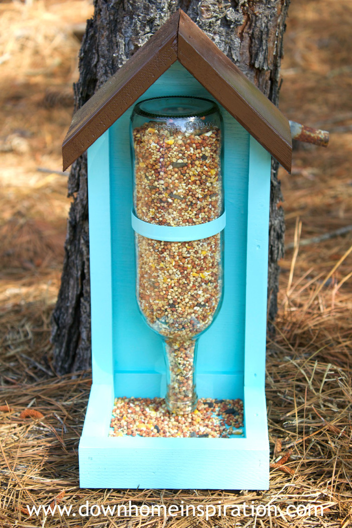 bird feeder