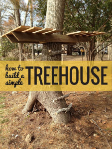 Why you need a treehouse