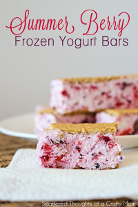 Berry Frozen Yogurt Bars