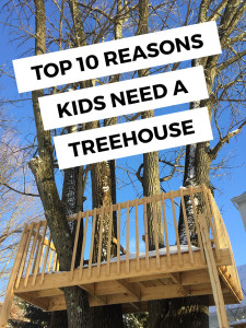 Top 10 reasons you should have a treehouse