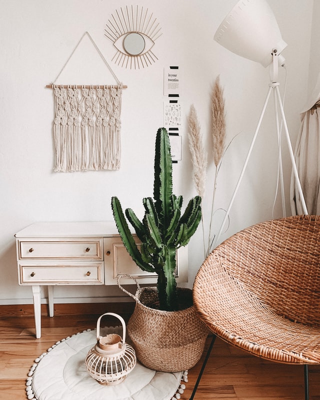 cactus white wall macrame indoor swing