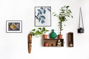 white wall plants face sculpture shelf paintings