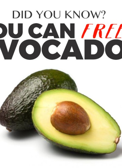 Learn how to freeze an avocado!