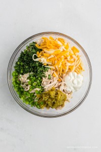 Medium bowl with chicken, green onions, shredded cheese, sour cream, chiles and cilantro.