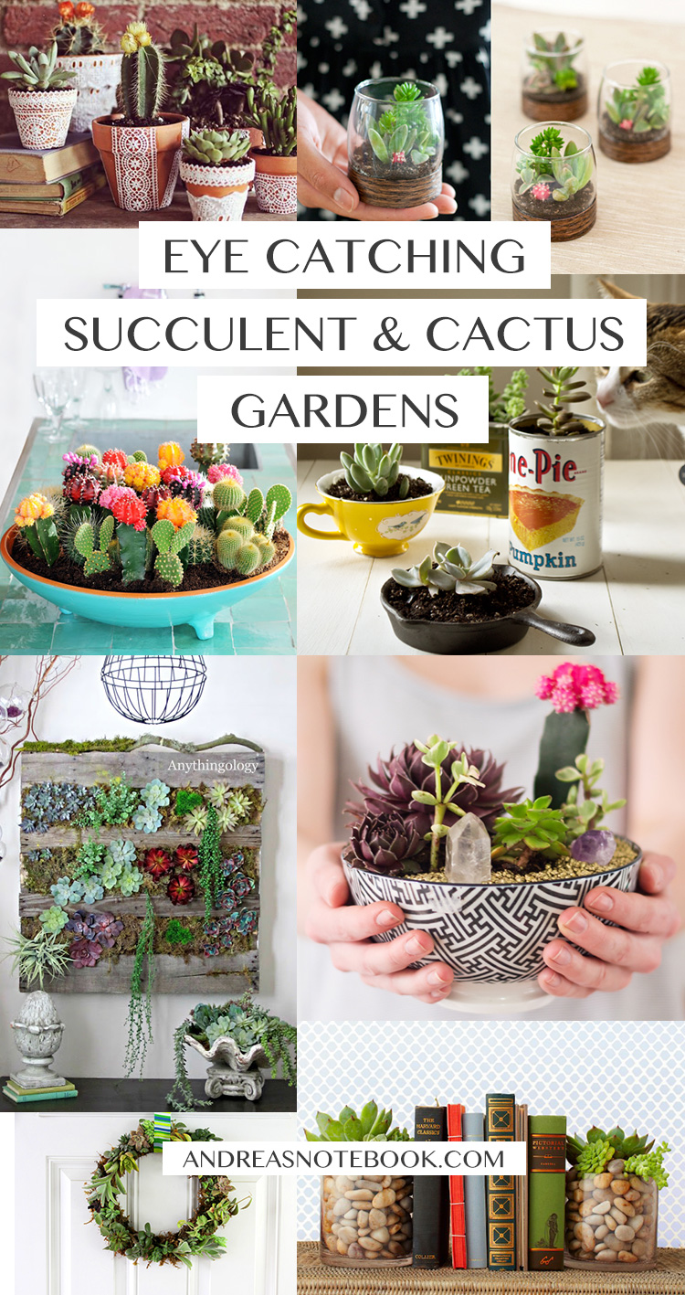 Eye Catching DIY Succulent and Cactus Gardens