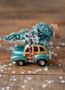 DIY Car and Tree Ornament