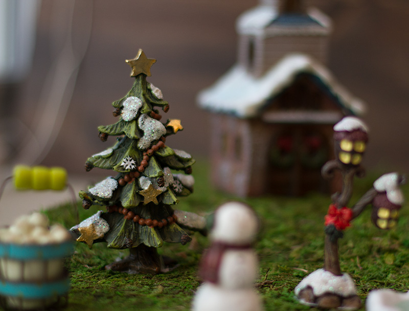 Make an adorable indoor fairy garden