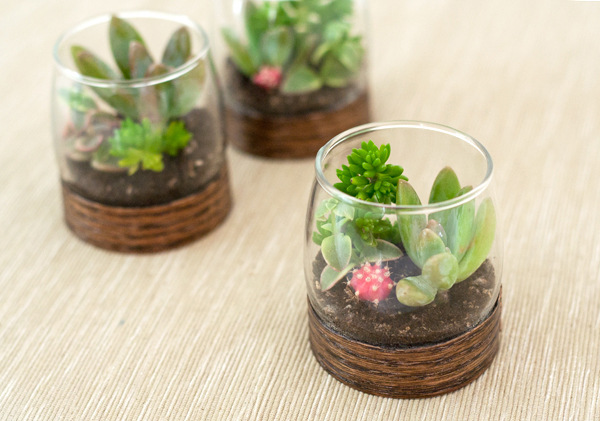 wood base DIY succulent terrariums