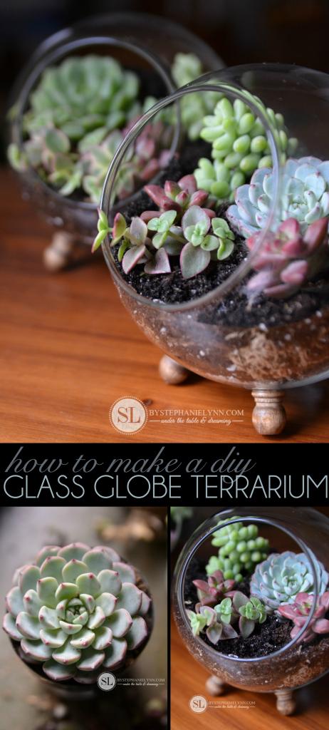 Gorgeous DIY terrarium 