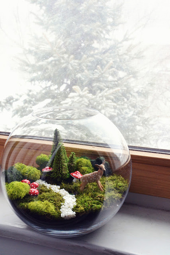 DIY terrarium