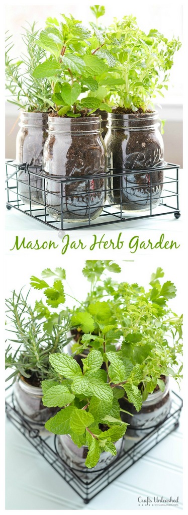 Mason jar herbs