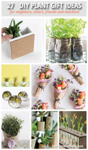 DIY plant gift ideas!